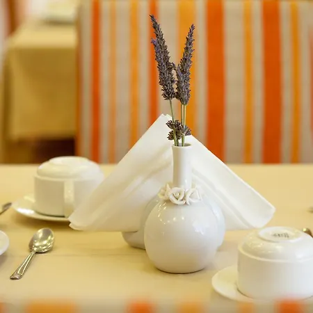 Hotel Kyniska 3*