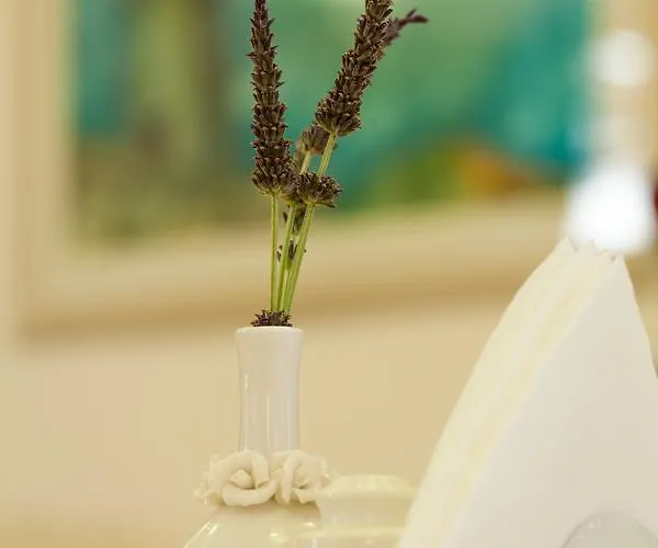 κυνίσκα Ξενοδοχείο